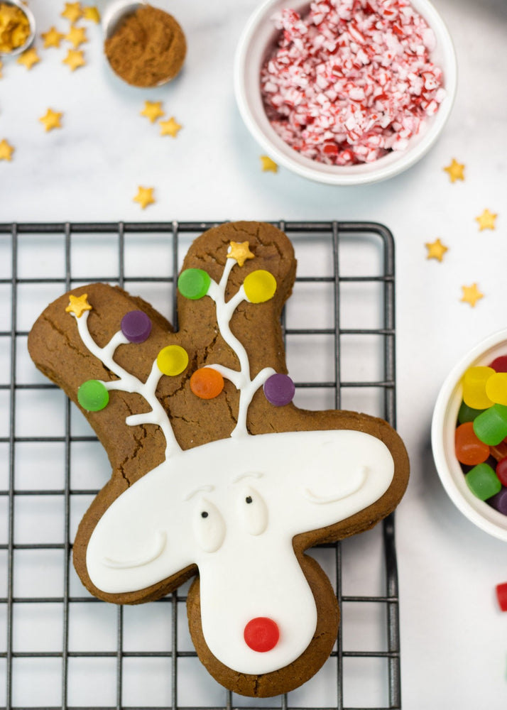 DIY Cookie Decorating Kit