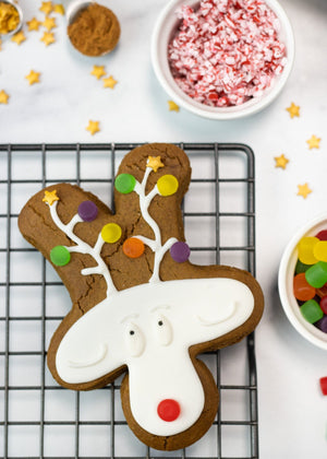 DIY Cookie Decorating Kit